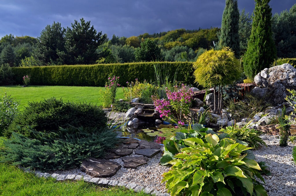 Rocaille sans entretien : des plantes et des astuces pour un jardin