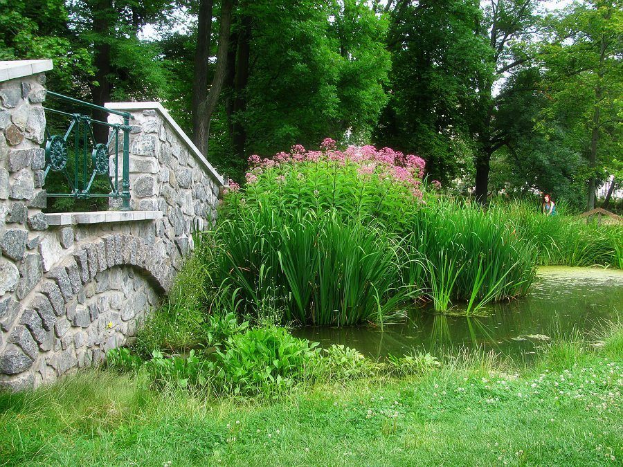 conseil feng shui