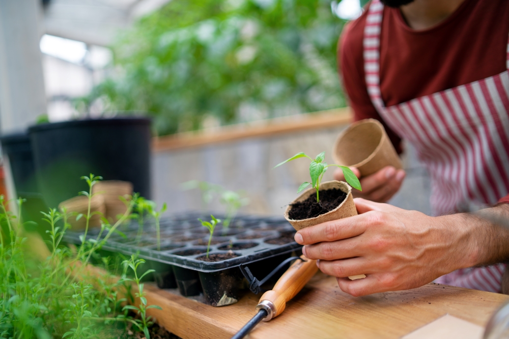 conseil jardinier 