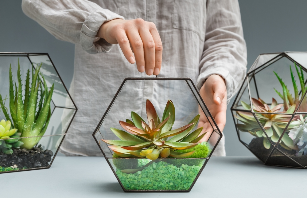 construire un terrarium