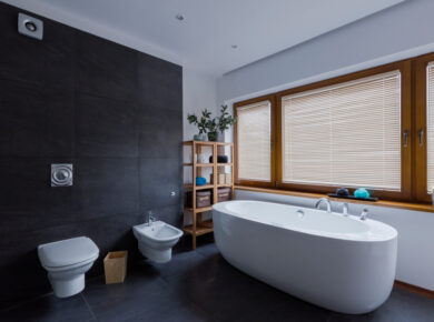 couleur wc