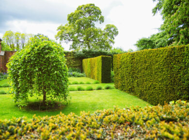 décoration arbre jardin