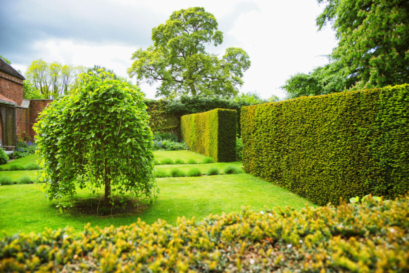 décoration arbre jardin