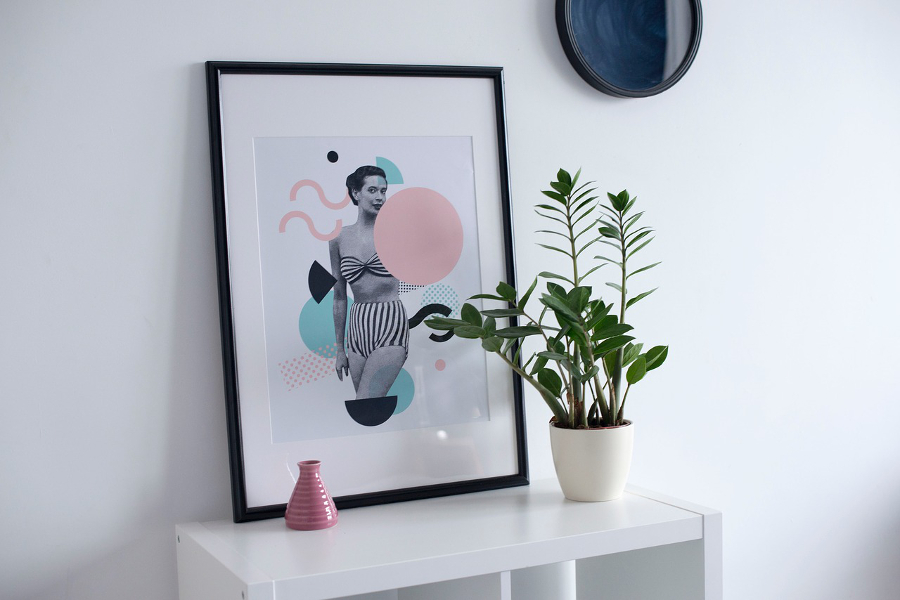 décoration plante