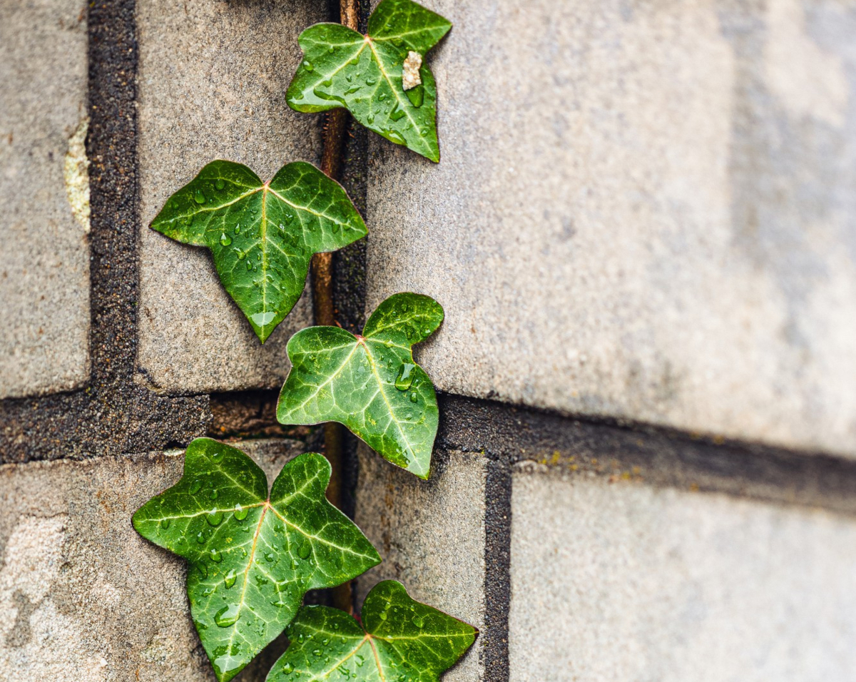 mettre sur mur