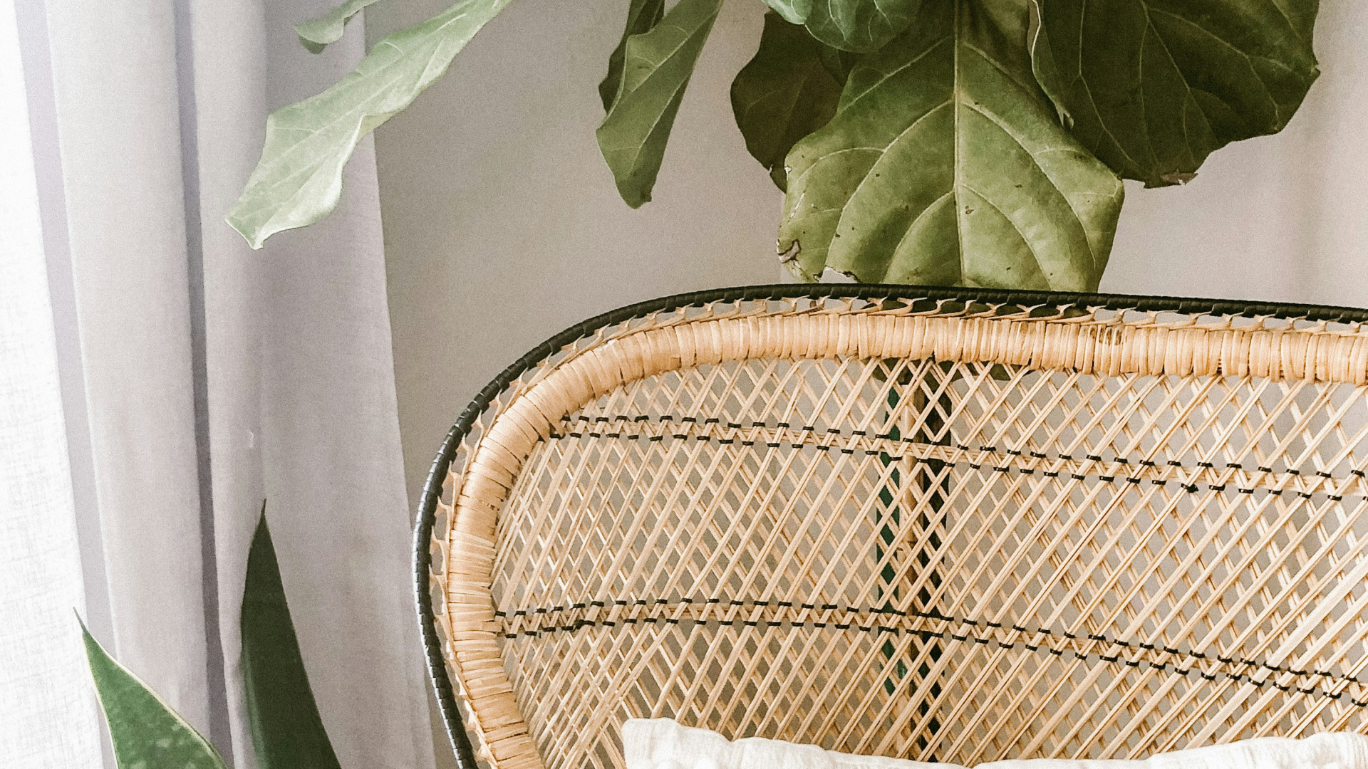 Objets déco en rotin : l'art de la décoration naturelle