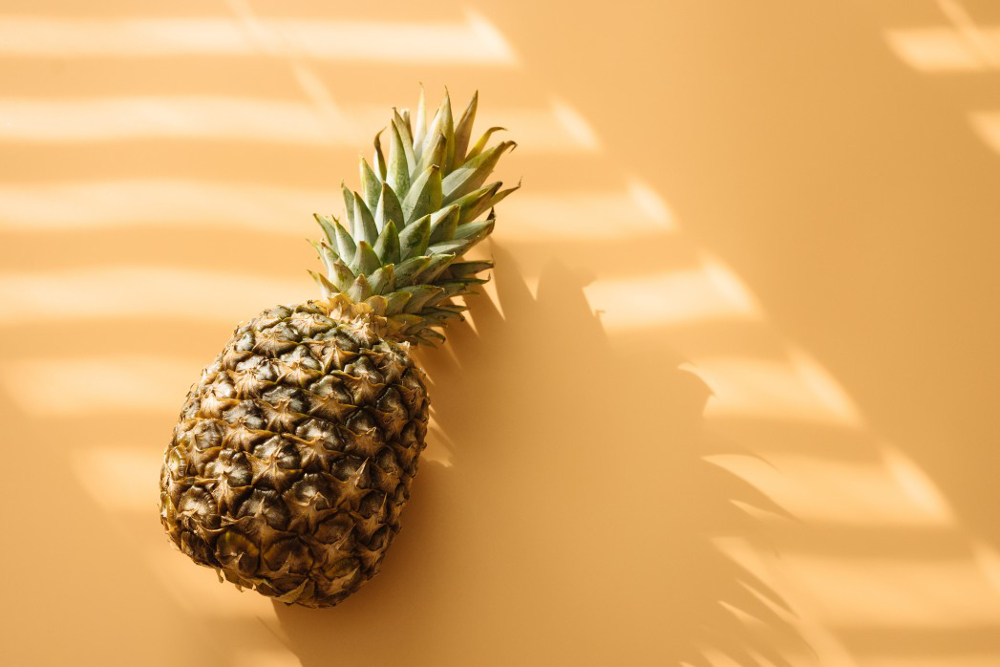 plant d'ananas