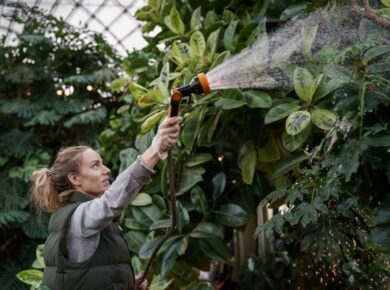 un jardin exotique rustique