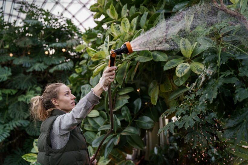 un jardin exotique rustique